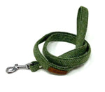 Green dog leash with a metal clip on a white background