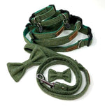 Green dog collar and leash set on a white background