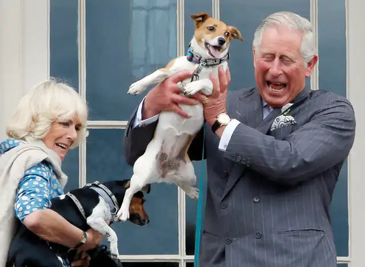 King Charles III with dogs Beth and Bluebell