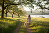 lady walking a golden labrador on a woodland path next to a lake