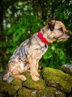 Red Tweed Dog Bow Tie