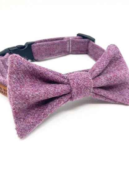 Tweed Dog Bow Tie - Plain Lilac