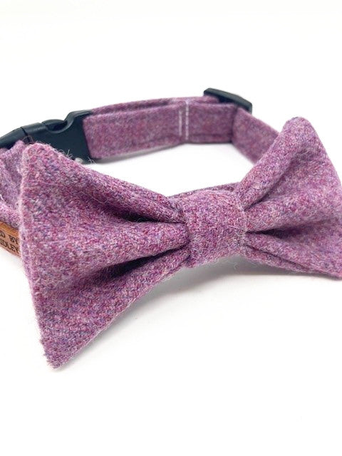 Purple bow best sale tie dog collar